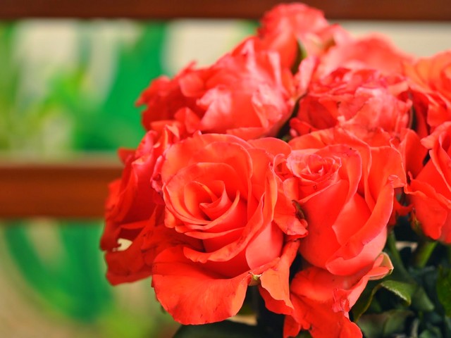 Ξεκινάει στις 27 Απριλίου η 31η Γιορτή Λουλουδιών Βάρκιζας