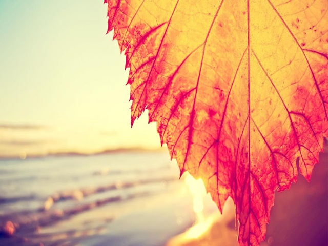 10 μικρές φθινοπωρινές απολαύσεις στα Νότια