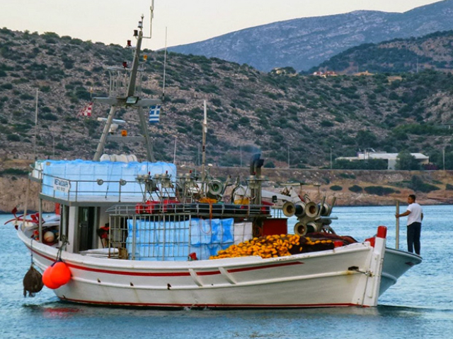 Ασφαλή τα αλιεύματα της Ιχθυόσκαλας