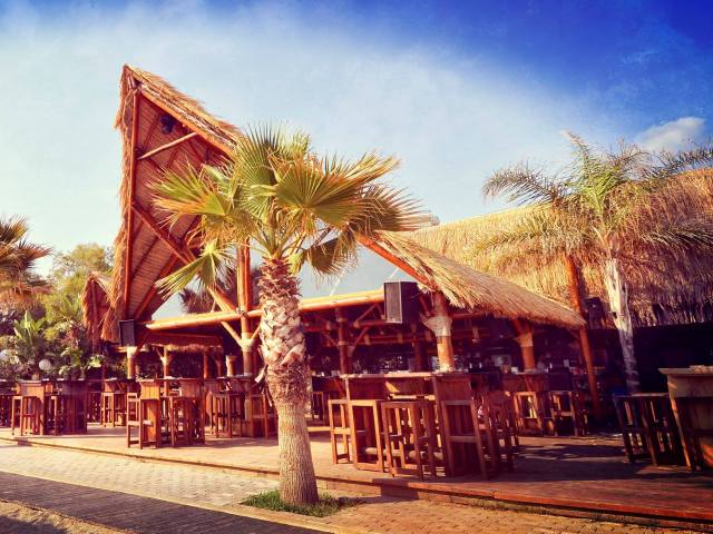 Caribbean Nights με Latin – Reggae Vibes κάθε Τρίτη στο Bolivar