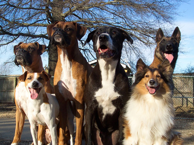 Cesar vs Victoria. Θες να ακούσεις την άποψή μου;