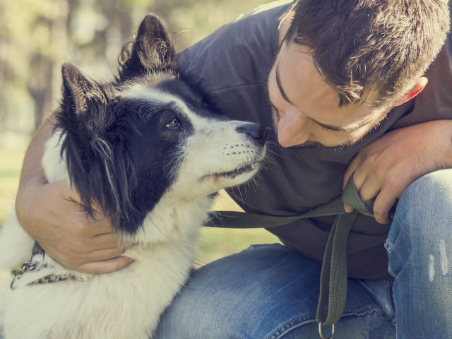 Είσαι σκυλογονέας Νοτίων Προαστίων αν…