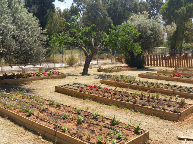 Το είχαμε ανάγκη το Πρότυπο Οικογενειακό Πάρκο του δήμου Ελληνικού-Αργυρούπολης