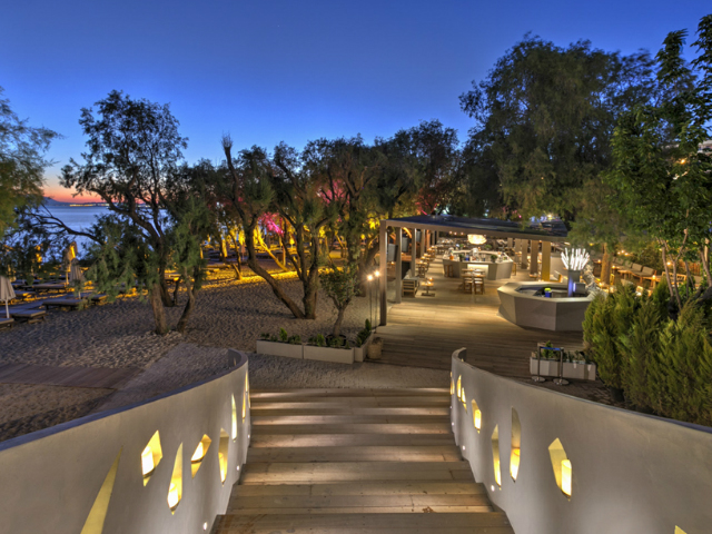 Επιστρέφει το καλοκαιρινό Akanthus