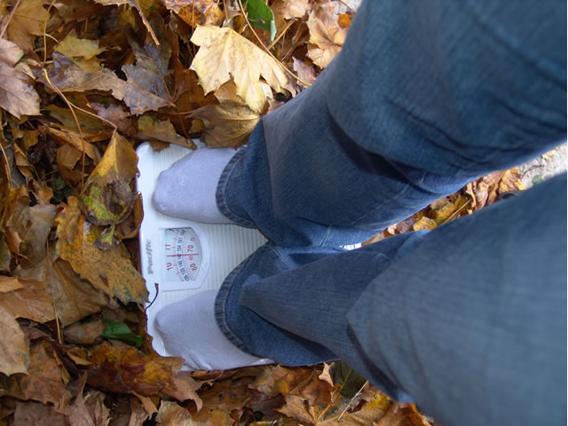 Φθινοπωρινή Διατροφική Επάνοδος