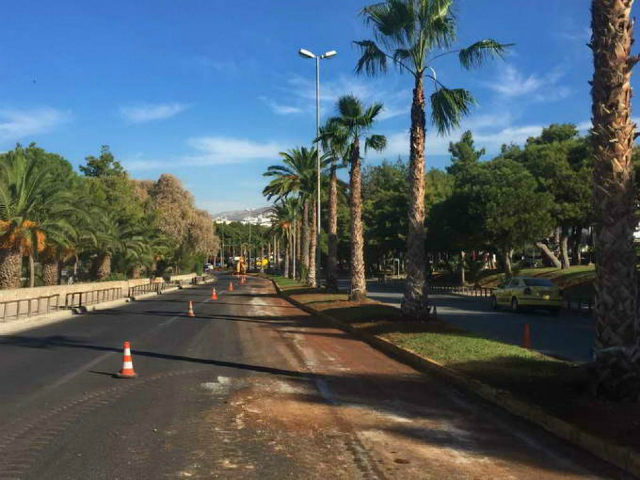 Φυτεύονται νέοι φοίνικες στη Βουλιαγμένη