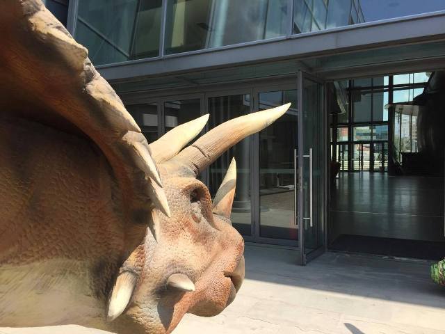 Η έκθεση «Στη χώρα των δεινοσαύρων» θα σε συναρπάσει