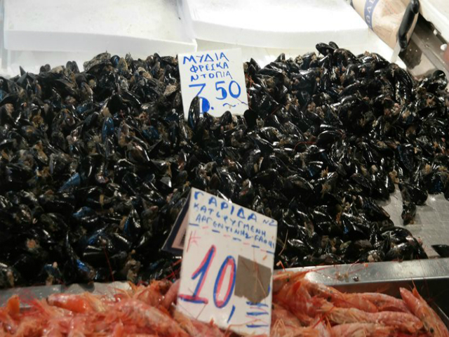 «Καθαρά» τα οστρακοειδή από το Σαρωνικό