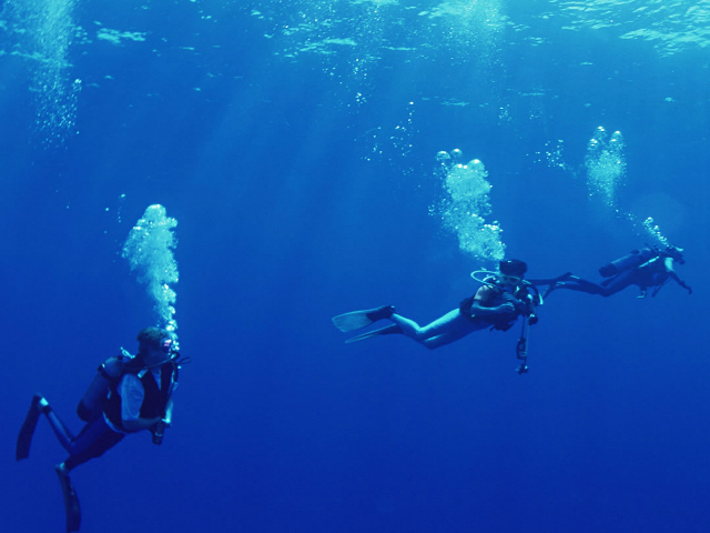 Τα καλύτερα σημεία για καταδύσεις στα νότια προάστια