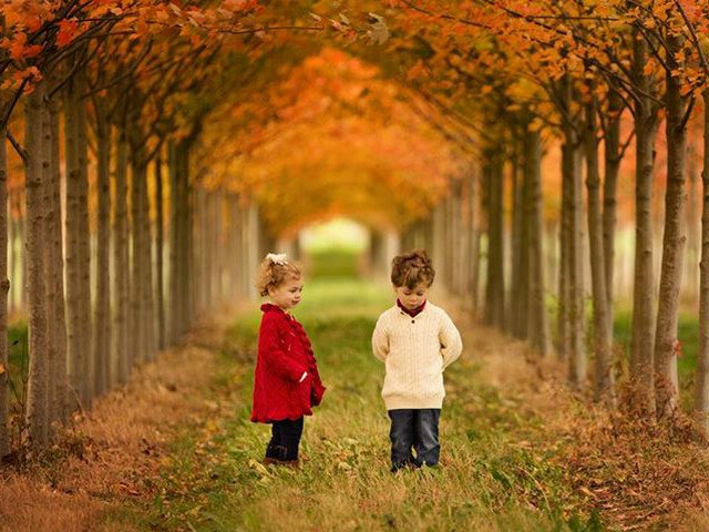 Το Kitten δεν νιαουρίζει πια