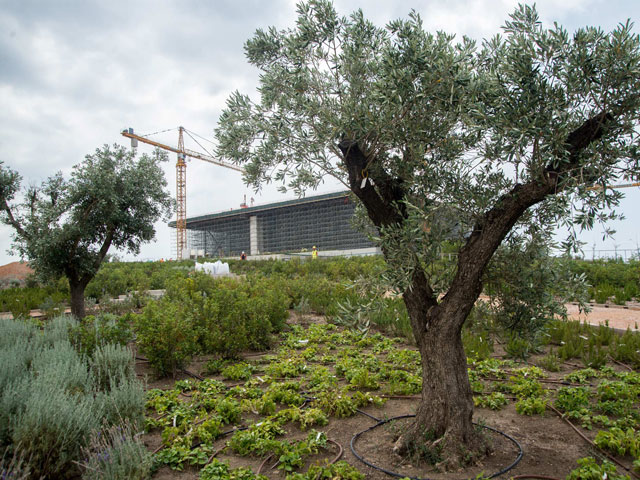 Μία πρώτη βόλτα στο Πάρκο του Κέντρου Πολιτισμού Ιδρύματος Σταύρου Νιάρχου