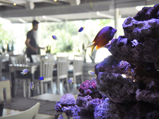 Το Modest άνοιξε για να αλλάξει τα δεδομένα στη Βούλα