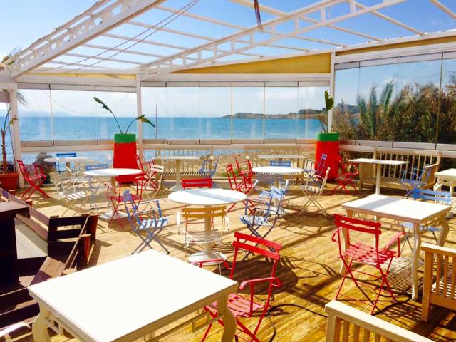 Νέα άφιξη στην παραλία της Βούλας