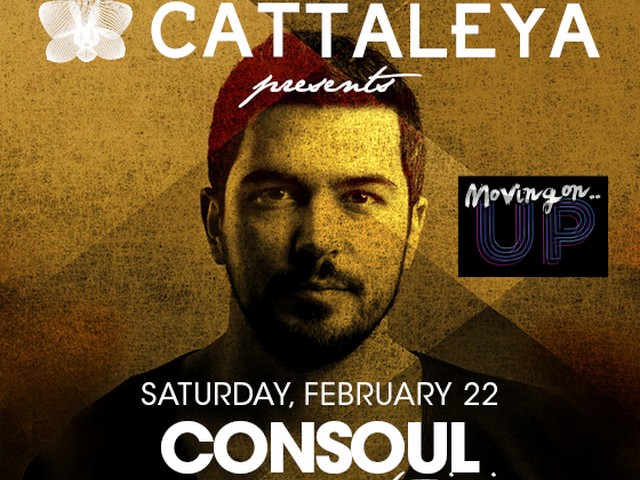 O Consul κατεβαίνει στο Cattaleya