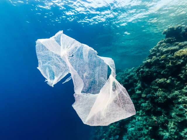 Ο Δήμος Βάρης-Βούλας-Βουλιαγμένης φιλοδοξεί να μειώσει τα πλαστικά απορρίμματα στη θάλασσα