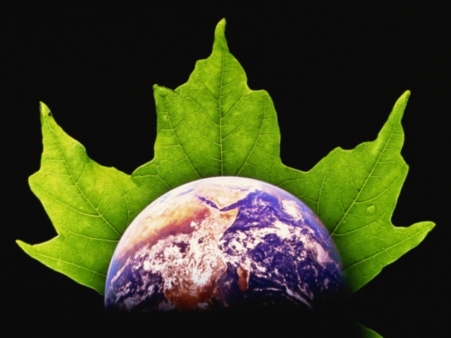 Ο Δήμος Ελληνικού – Αργυρούπολης δίνει την έναρξη για το «Let’s do it Greece 2017»