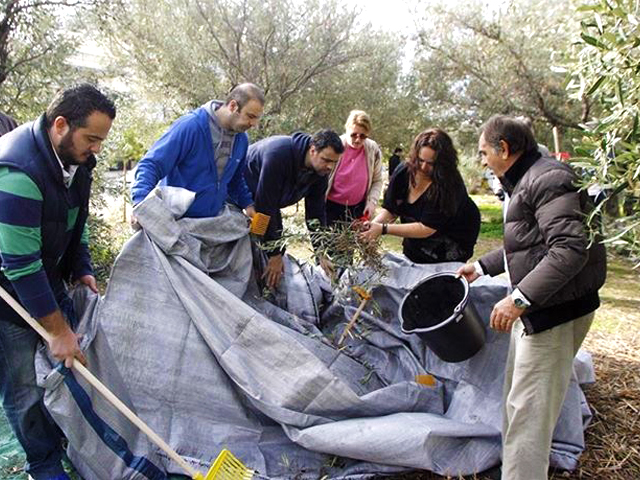 Ο δήμος Γλυφάδας θα μας “βγάλει το λάδι”