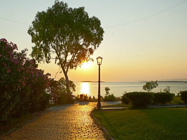 Ο εφοπλιστής Α. Μαρτίνος έσωσε υπεραιωνόβιο δέντρο στη Βουλιαγμένη