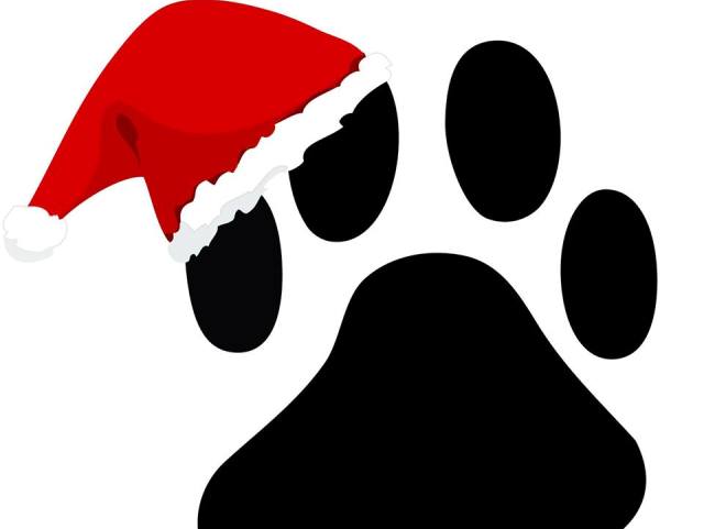 Ο ΣΠΑΖ ετοιμάζει το 30ο Χριστουγεννιάτικο bazaar του