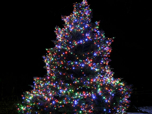 Το Π. Φάληρο ανάβει το δέντρο του