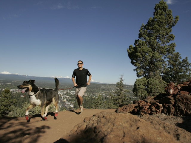 Run with your dog 3: Τρέξε με τον σκύλο σου στο Λόφο Πανί για καλό σκοπό