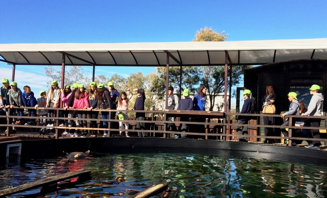 Mαθητές ξεναγούνται στον χώρο του ΑΡΧΕΛΩΝ 
