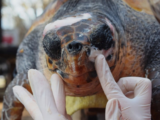 ‘Σε μέρη σαν αυτό, θα αποκαταστήσεις την πίστη σου στην ανθρωπότητα’