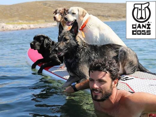 Τα Nou-Pou του Κωνσταντίνου