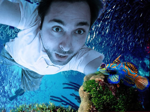 Τα Nou-Pou του Πρόδρομου