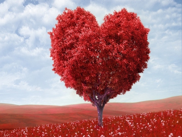Της καρδιάς τα χρώματα…