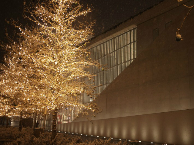 Το Χριστουγεννιάτικο πρόγραμμα του Ιδρύματος Σταύρος Νιάρχος