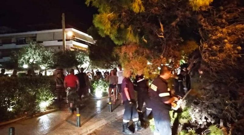 Πεύκο έπεσε στη Βουλιαγμένη