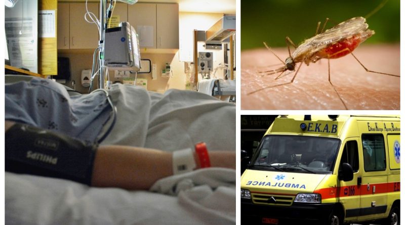 Αγωνία με τον ιό του Δυτικού Νείλου-Μέτρα στην Ηλιούπολη