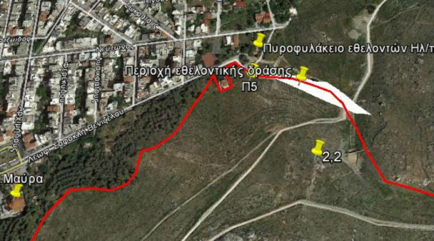 Εθελοντική αναδάσωση στον Υμηττό την Κυριακή 31 Μαρτίου