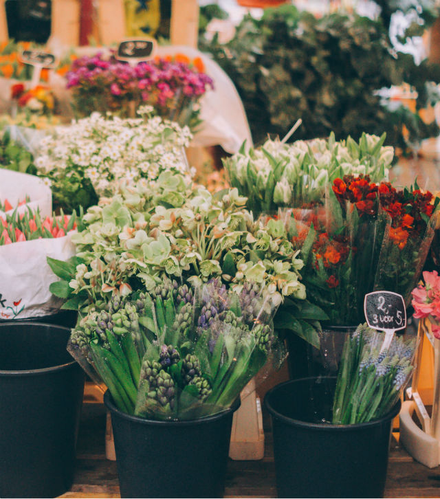 Επιστρέφει η έκθεση λουλουδιών στη Βάρκιζα