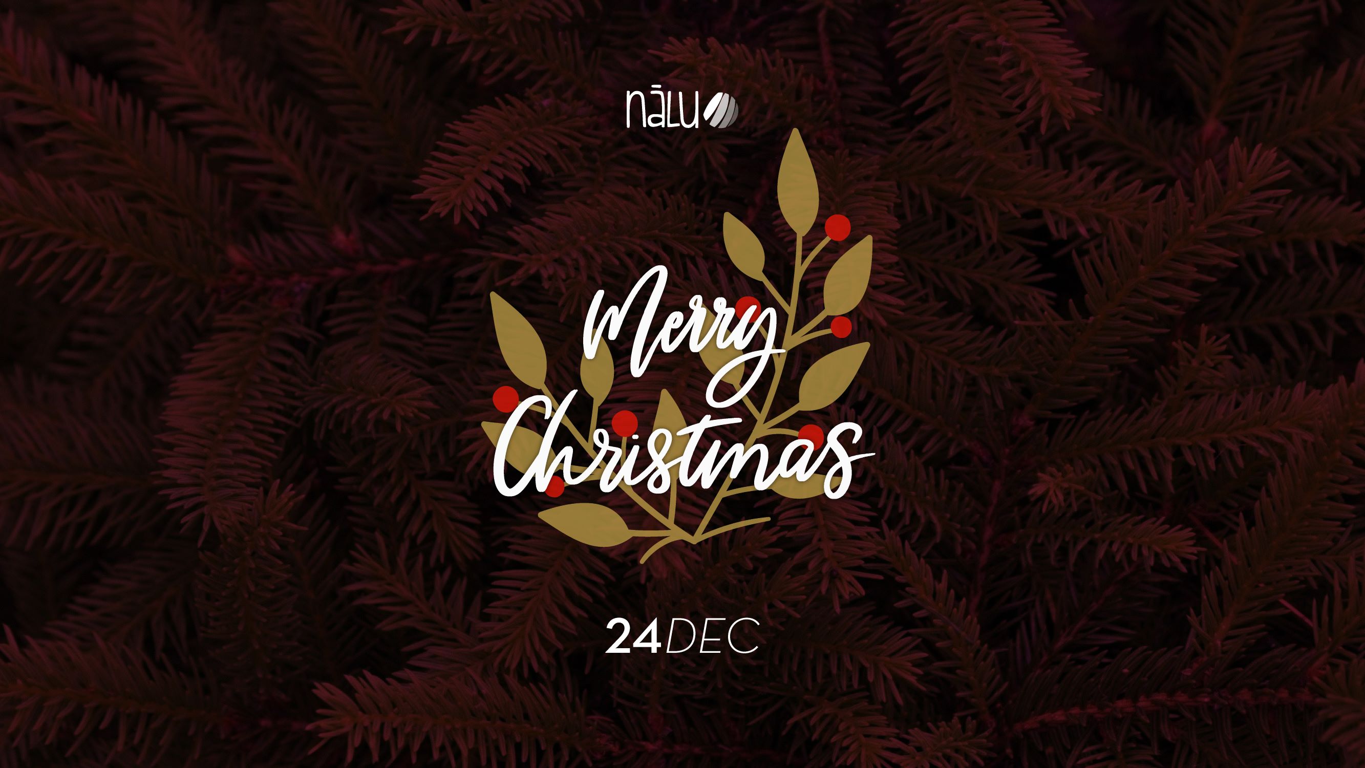 Παραμονή Χριστουγέννων στο Nalu