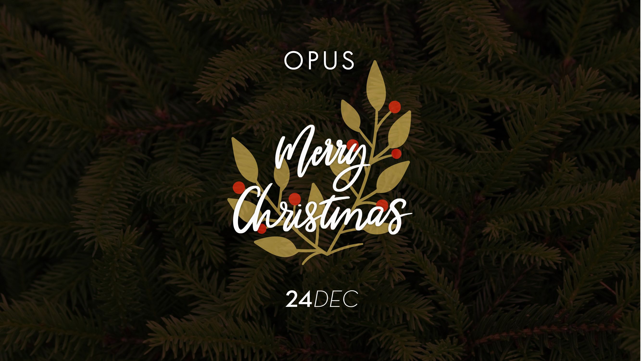 Παραμονή Χριστουγέννων στο Opus