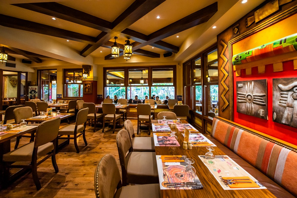 Τα εστιατόρια Amigos στηρίζουν την “Κιβωτό του Κόσμου”