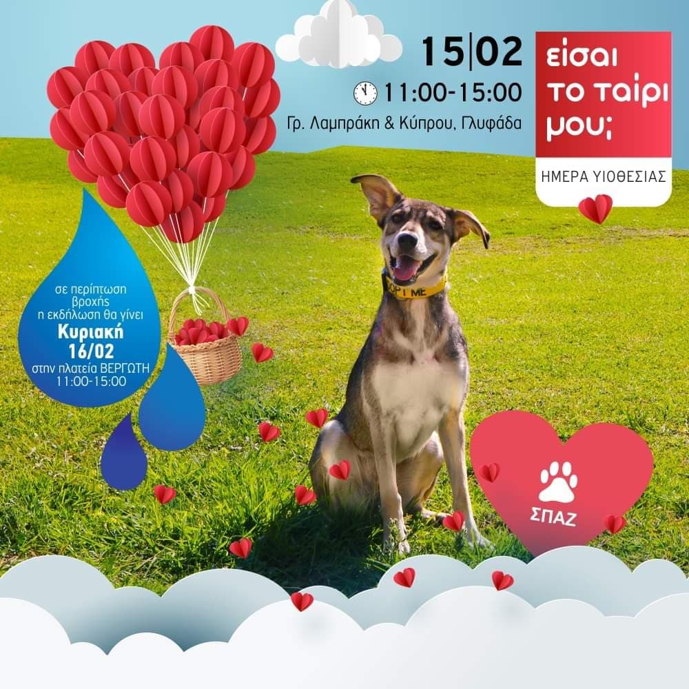 Είσαι το ταίρι μου; Το Σάββατο 15 Φεβρουαρίου, ο ΣΠΑΖ γιορτάζει την αγάπη με την ημέρα υιοθεσίας