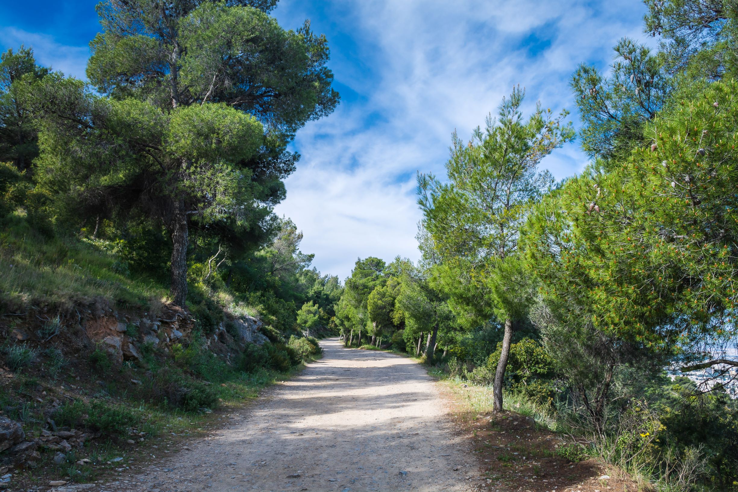 Απαγόρευση κυκλοφορίας στον Υμηττό