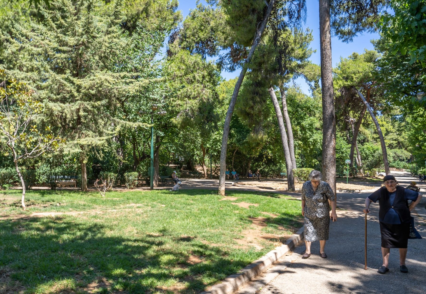 Άλσος Παγκρατίου: Ένα οικοσύστημα στο κέντρο της πόλης