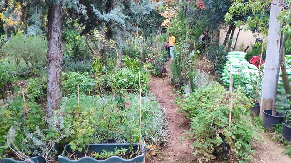 Νέο φυτώριο στο Δήμο Ελληνικού - Αργυρούπολης