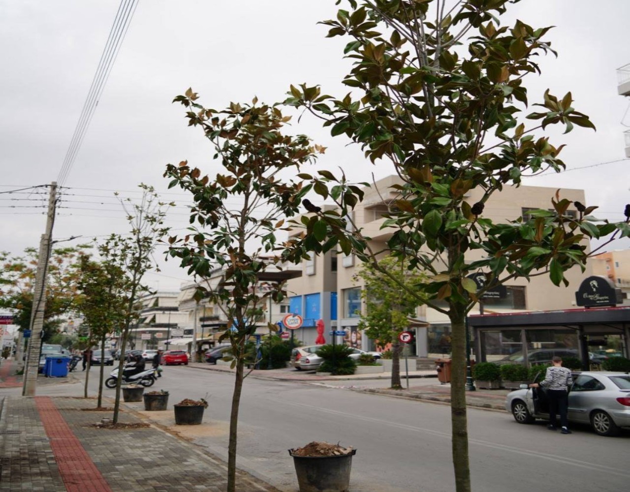 Δήμος Γλυφάδας: Δεντροφυτεύσεις σε διάφορα σημεία της πόλης