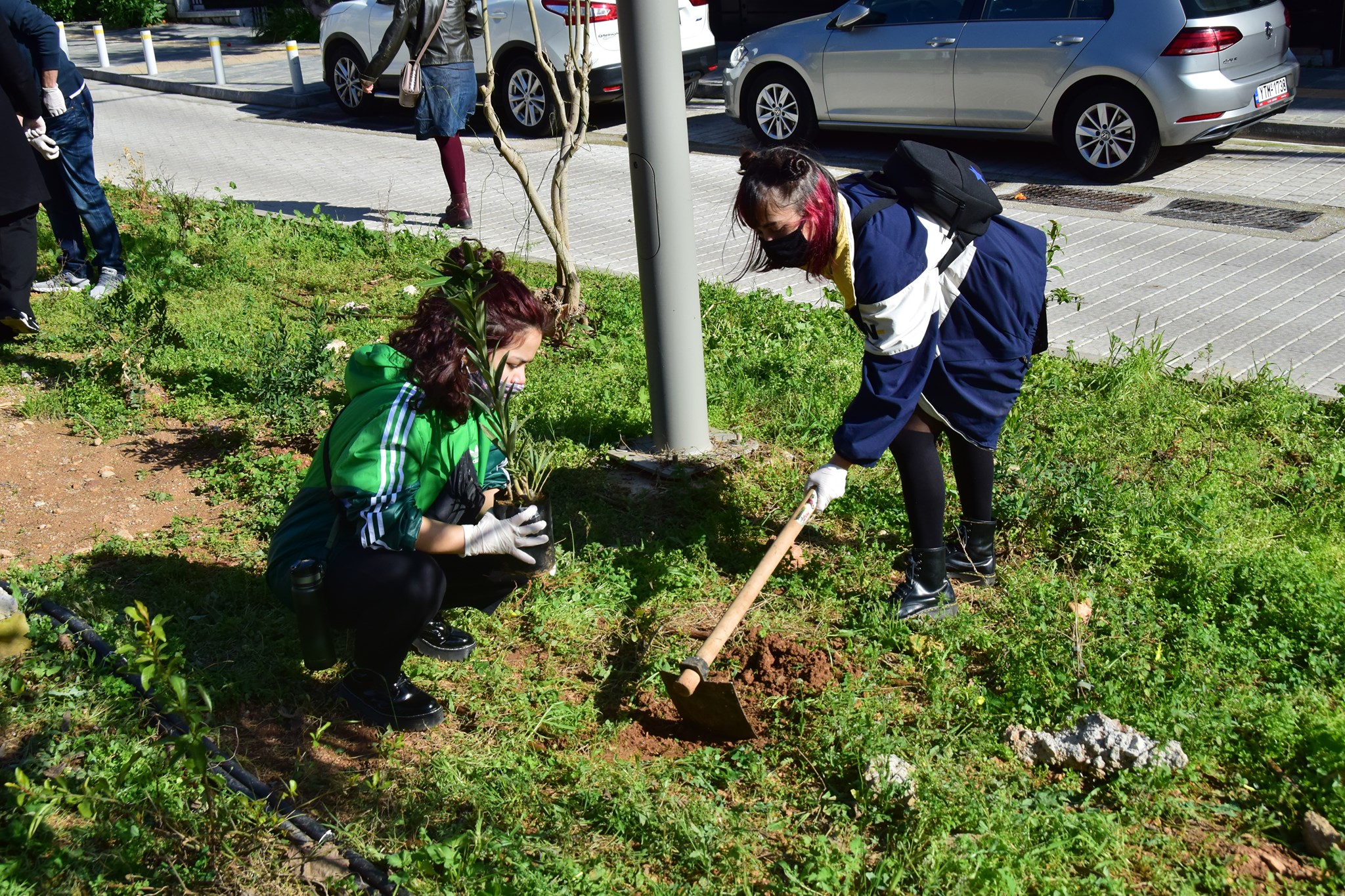 Δεντροφύτευση στη Νέα Σμύρνη