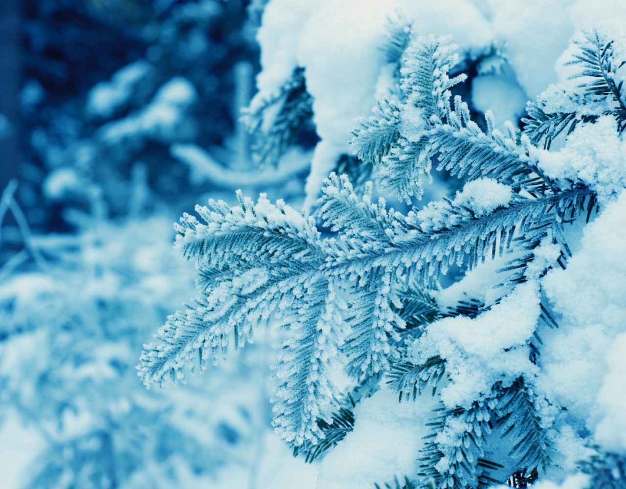 Καιρός: Πολύ χαμηλές θερμοκρασίες και χιονόπτωση τη Δευτέρα 15/2