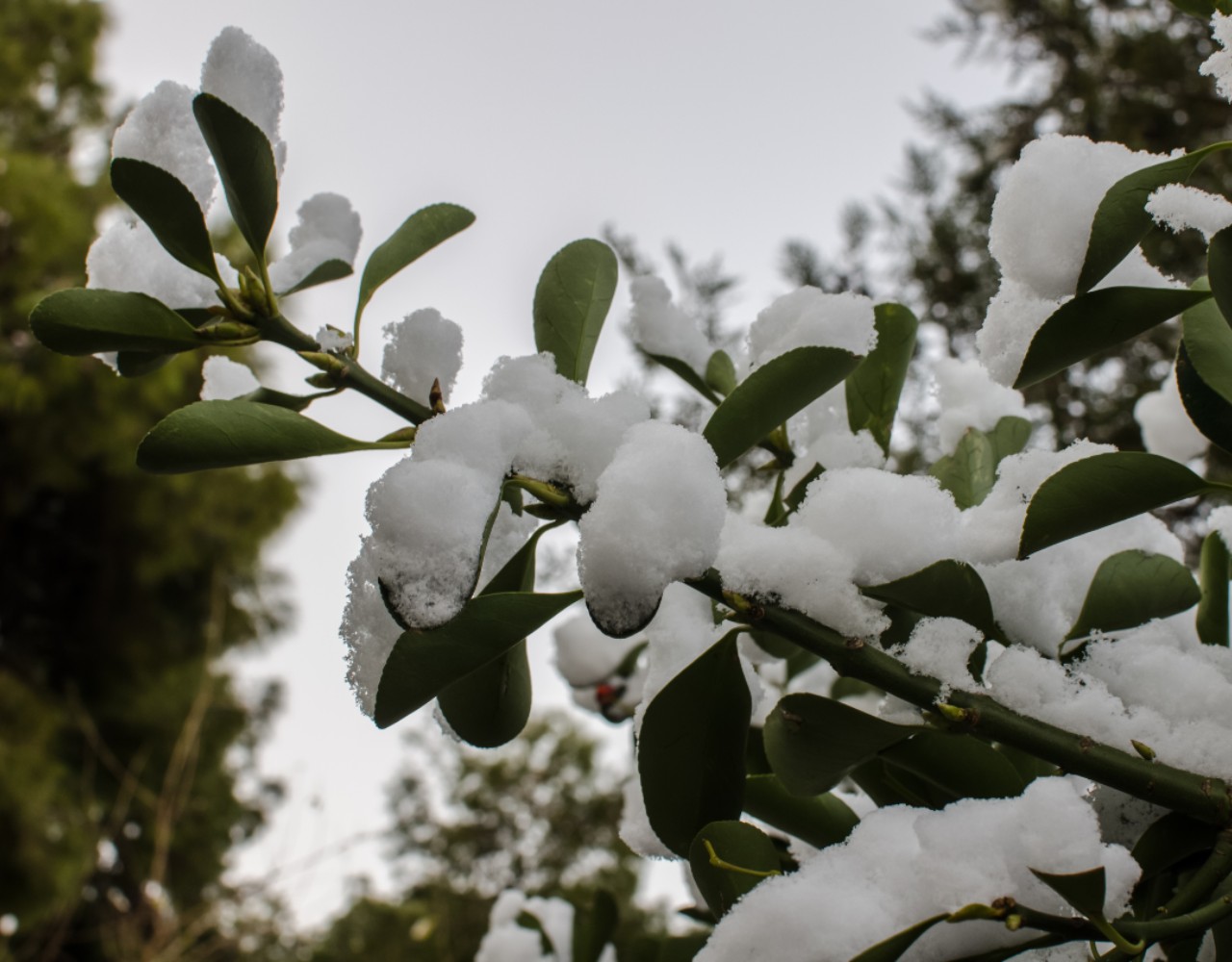 Κακοκαιρία “Μήδεια”: Χιονίζει στην Αττική – Τα πρώτα χιόνια και στα νότια προάστια