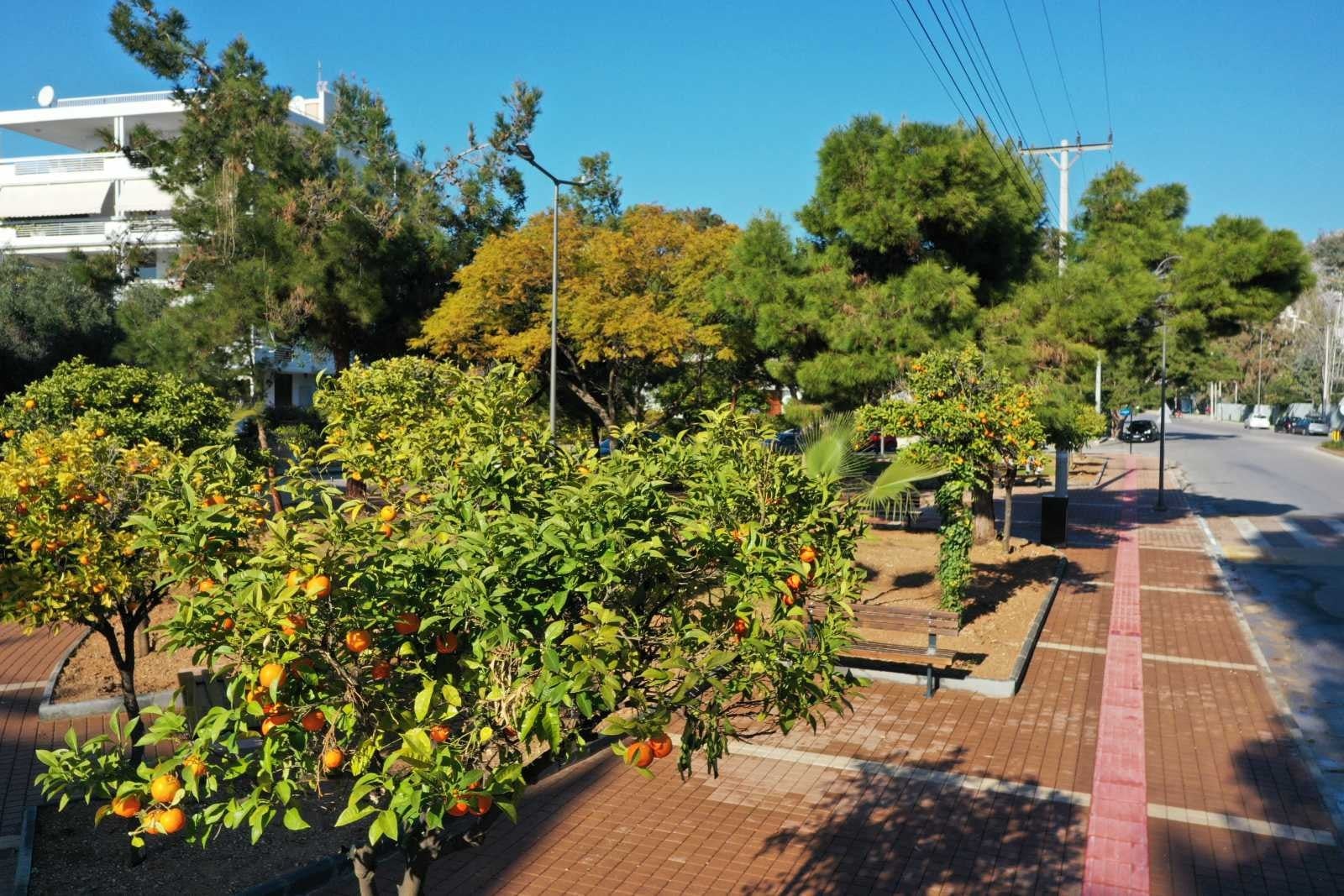 Καιρός: Άνοδος της θερμοκρασίας το Σαββατοκύριακο 3 & 4/4