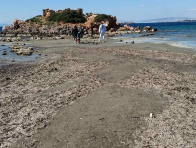 Καβούρι: Υποχώρησε ξαφνικά η θάλασσα