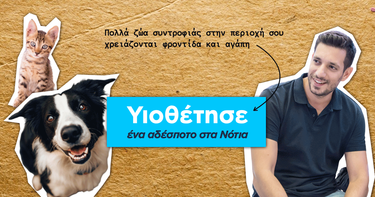 Κυρανάκης: Ξεκίνησε καμπάνια για τα αδέσποτα των Νοτίων
