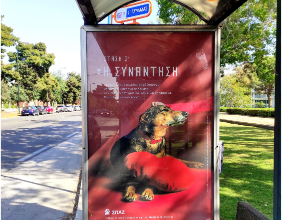 ΣΠΑΖ: Το νέο project με τα δυνατά μηνύματα για τα αδέσποτα ζώα